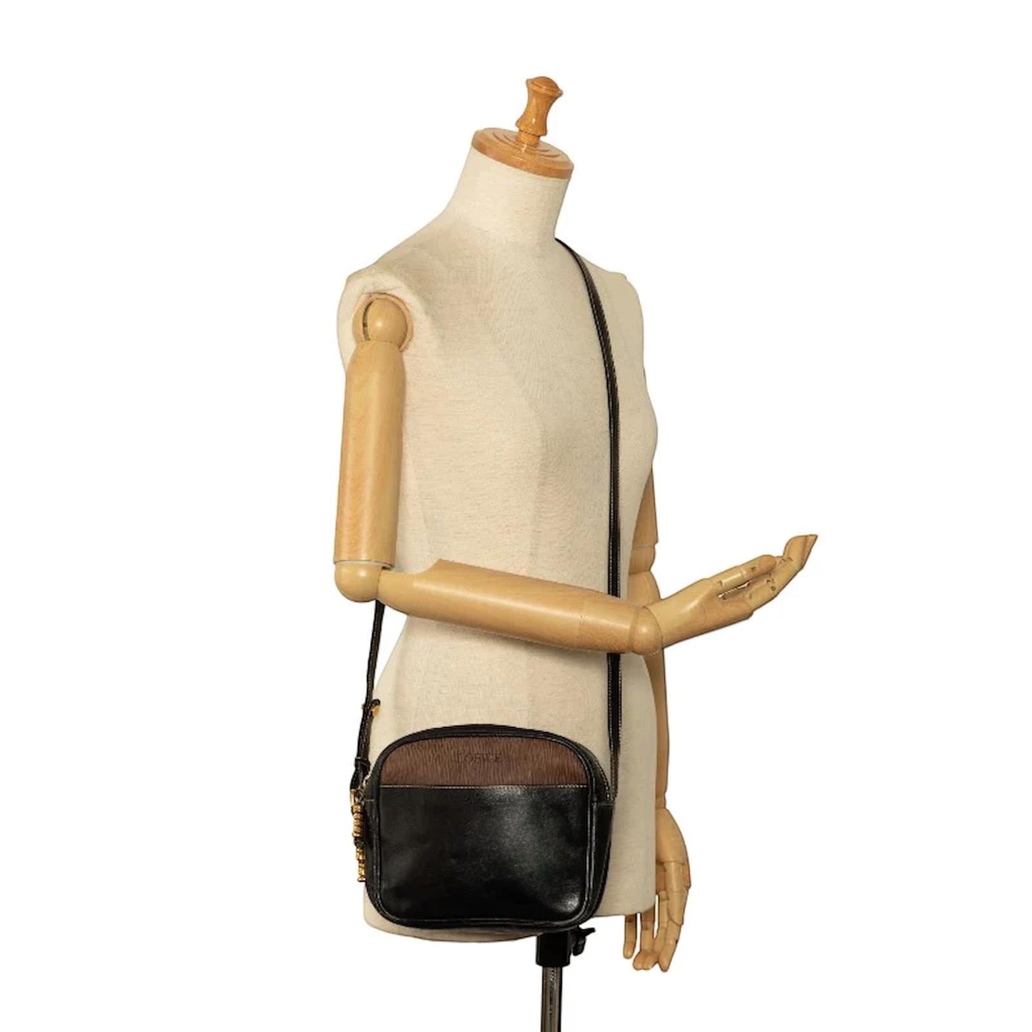 Loewe camera bag