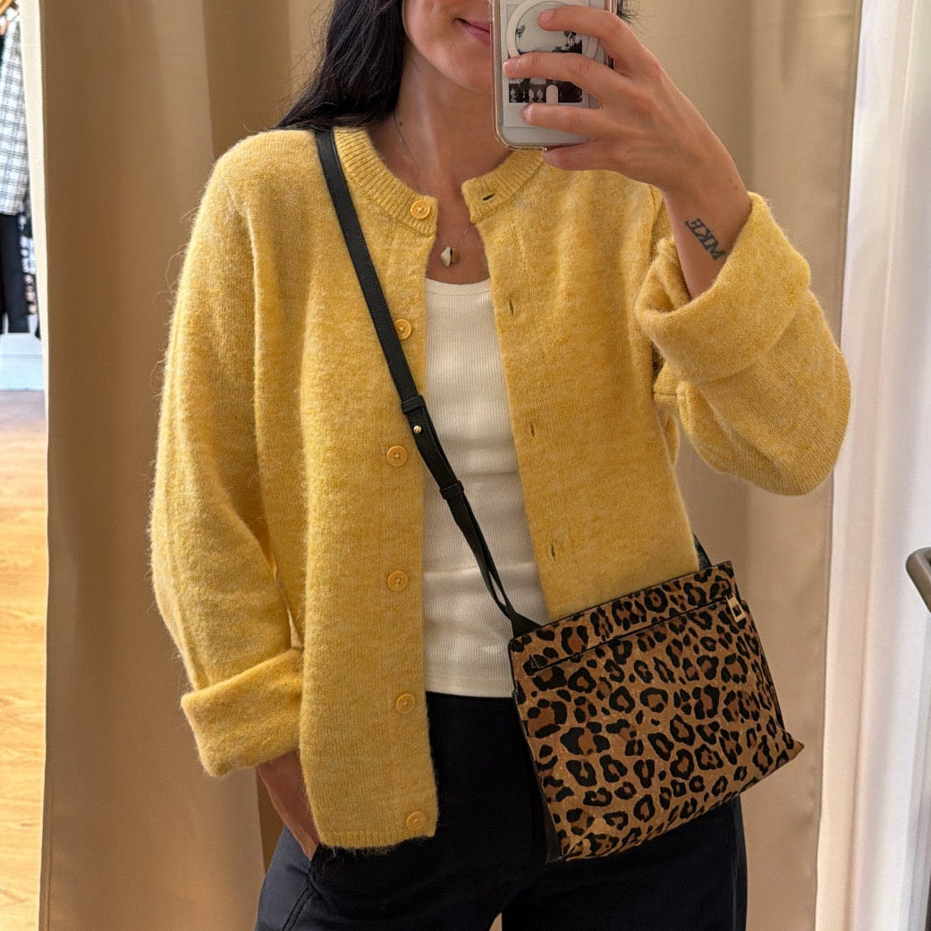 Loewe Pony Hair Leopard Print and Calfskin Crossbody