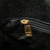Chanel CC Tortoise Chain Tote Bag
