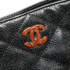 Chanel CC Tortoise Chain Tote Bag