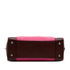 Loewe Tricolor Goatskin Amazona 36