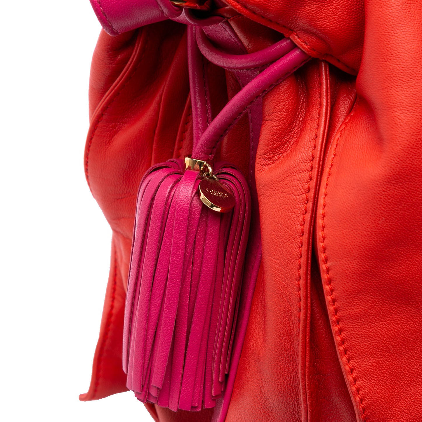 Loewe Nappa Flamenco Tassel 30