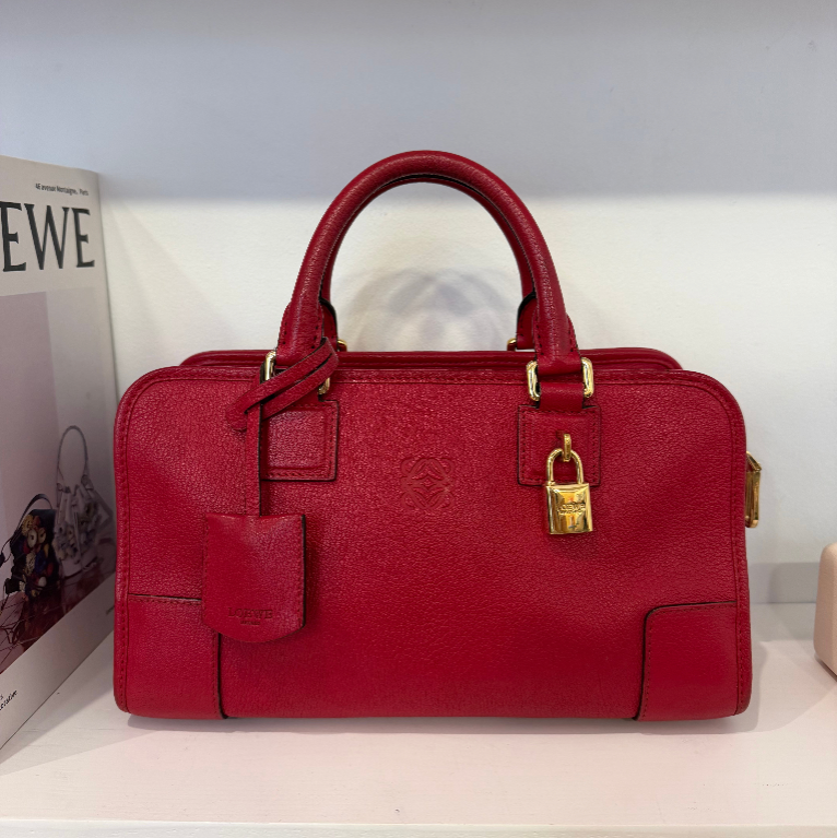 Loewe Leather Amazona 28