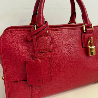 Loewe Leather Amazona 28