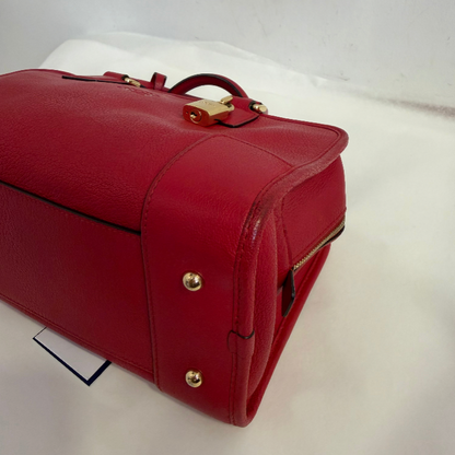 Loewe Leather Amazona 28