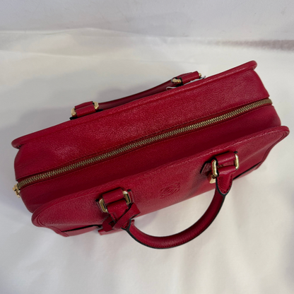 Loewe Leather Amazona 28