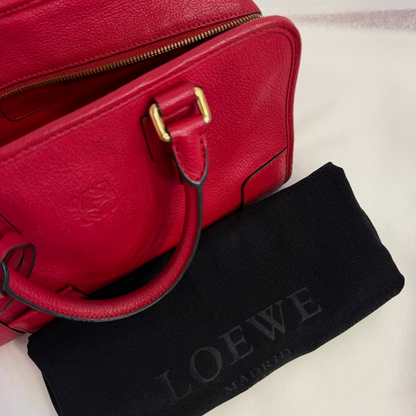 Loewe Leather Amazona 28