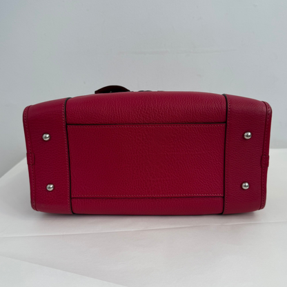 Loewe Leather Amazona 28