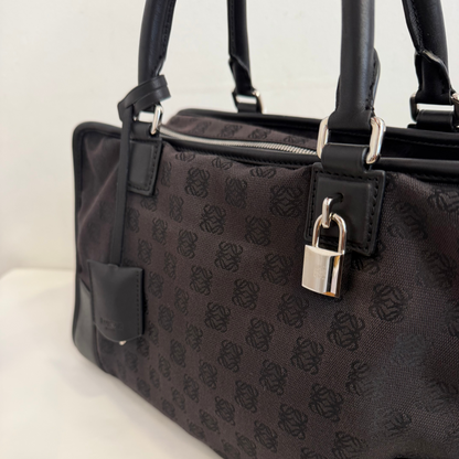 Loewe Canvas Amazona 36