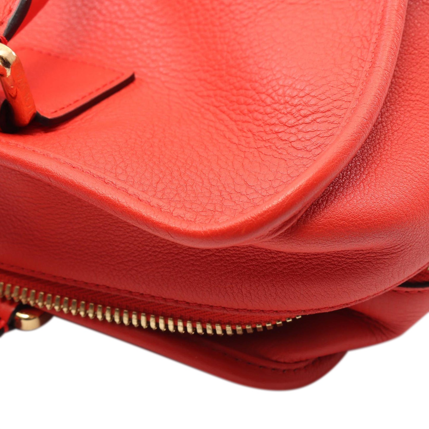 Loewe Leather Amazona 36