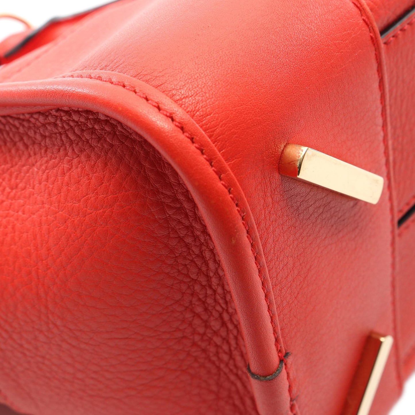 Loewe Leather Amazona 36