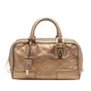 Loewe Metallic Leather Amazona 28