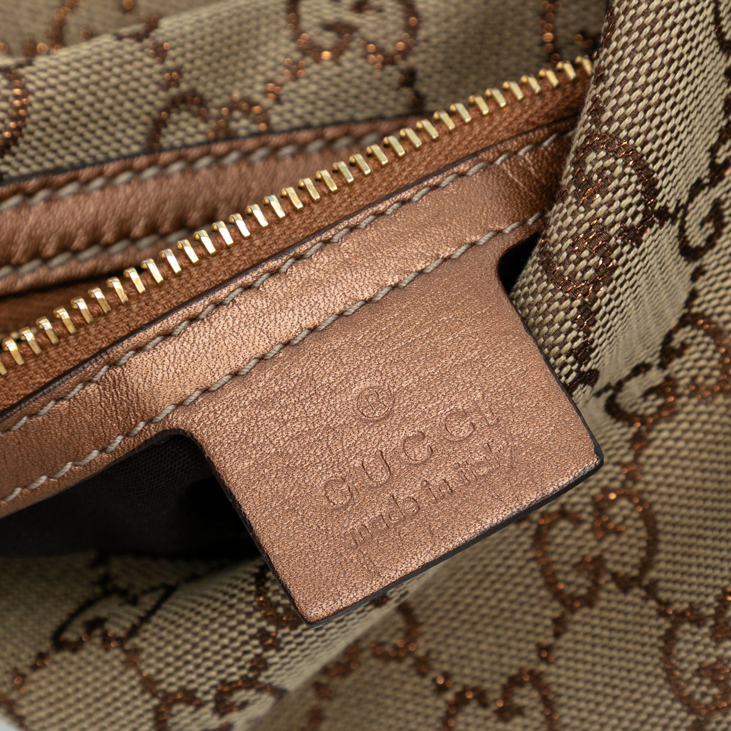 Gucci GG Canvas Twins Hobo