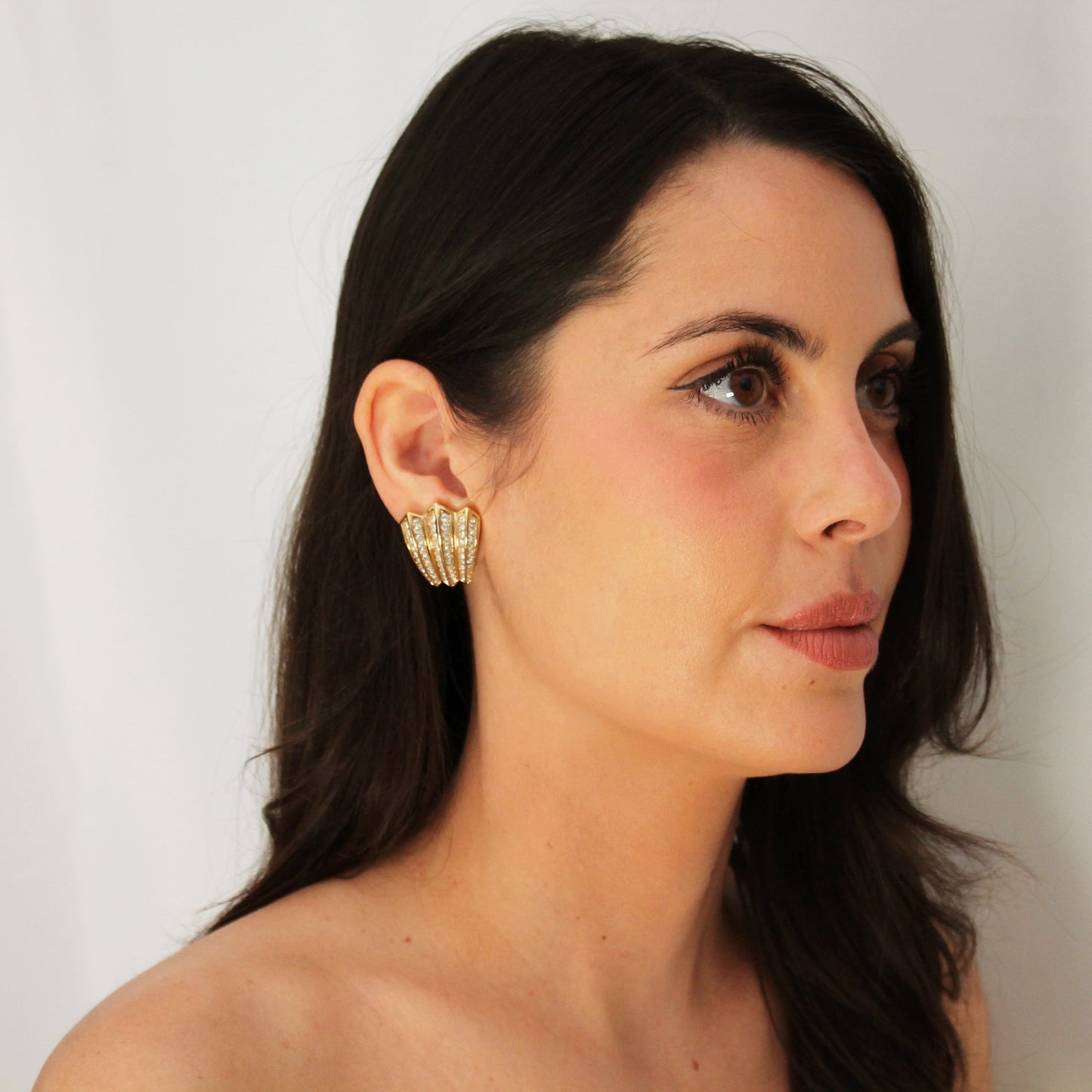Vintage Dior Earrings