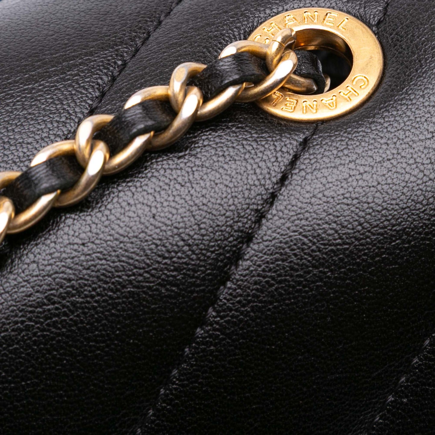 Chanel Diagonal Quilted Lambskin CC Signature Flap