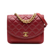 Chanel Small Quilted Calfskin and Caviar Chain Handle