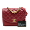 Chanel Small Quilted Calfskin and Caviar Chain Handle