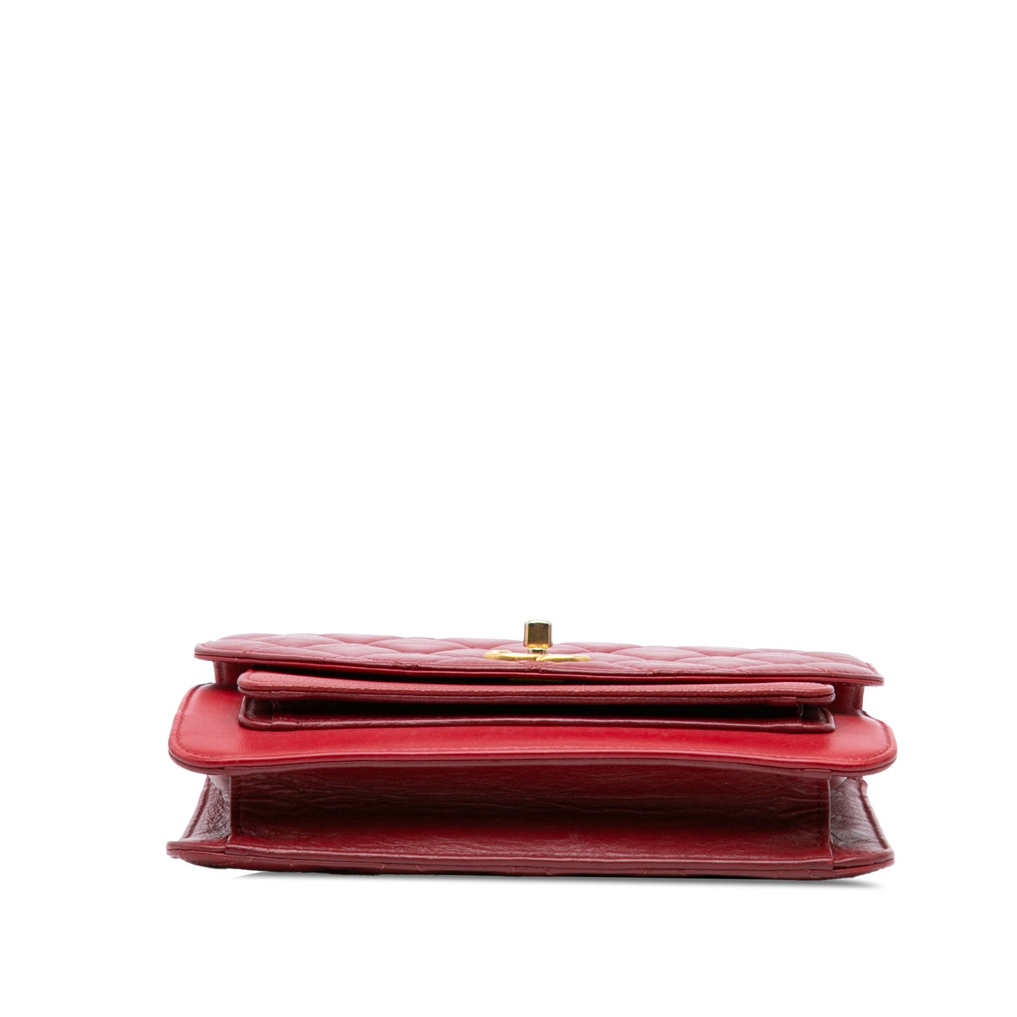 Chanel Small Quilted Calfskin and Caviar Chain Handle