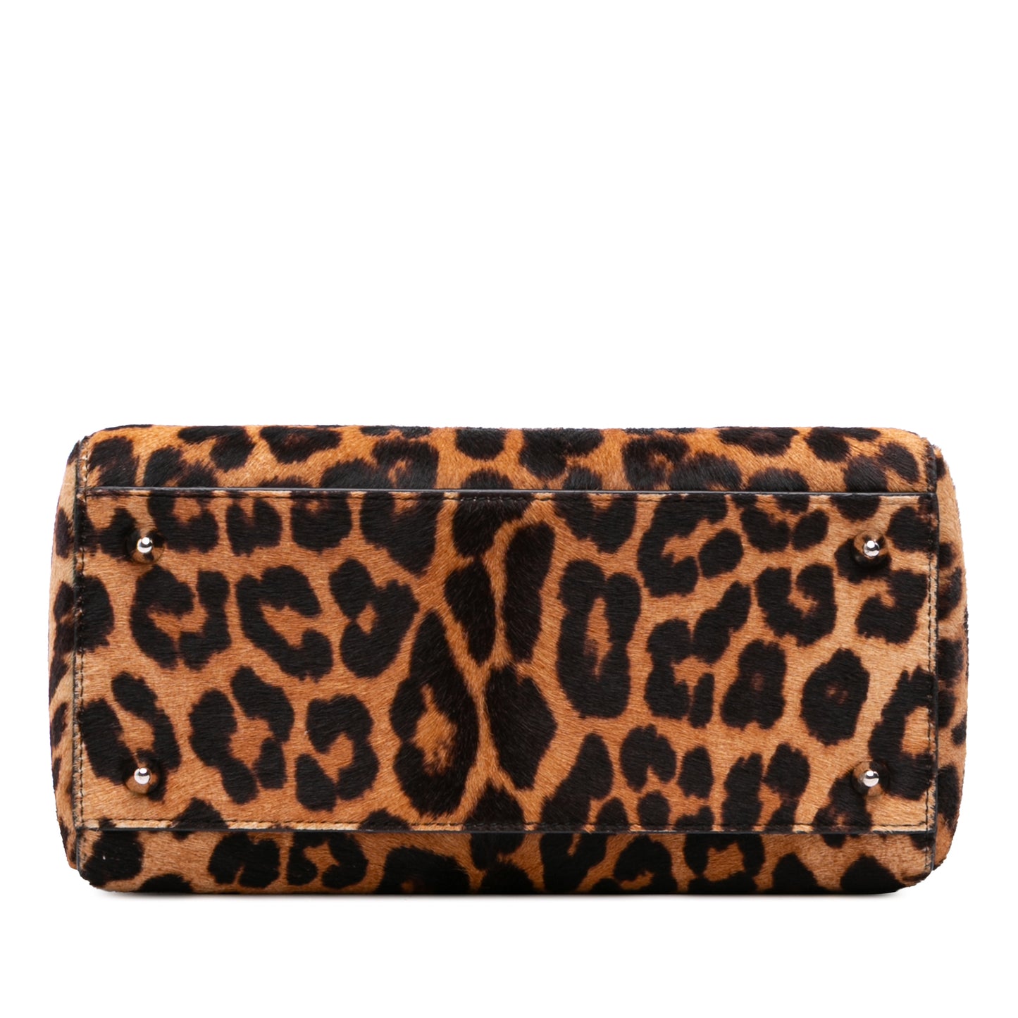 Dior Medium Pony Hair Leopard Print Lady Dior