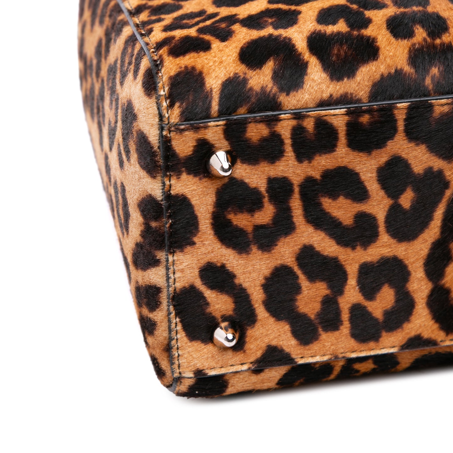 Dior Medium Pony Hair Leopard Print Lady Dior