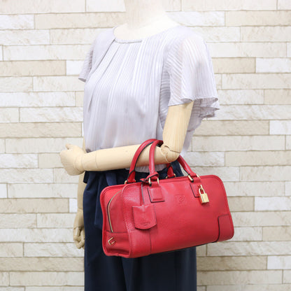 Loewe Leather Amazona 28