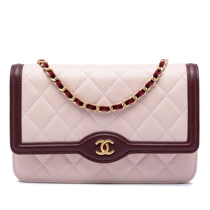 Chanel Mini Quilted Lambskin Two Tone Day Flap