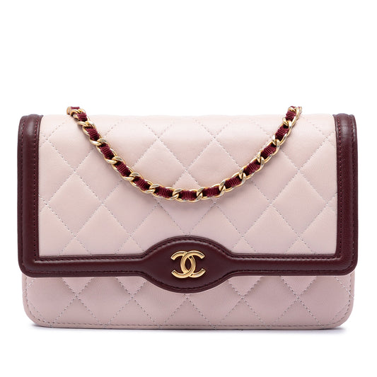Chanel Mini Quilted Lambskin Two Tone Day Flap