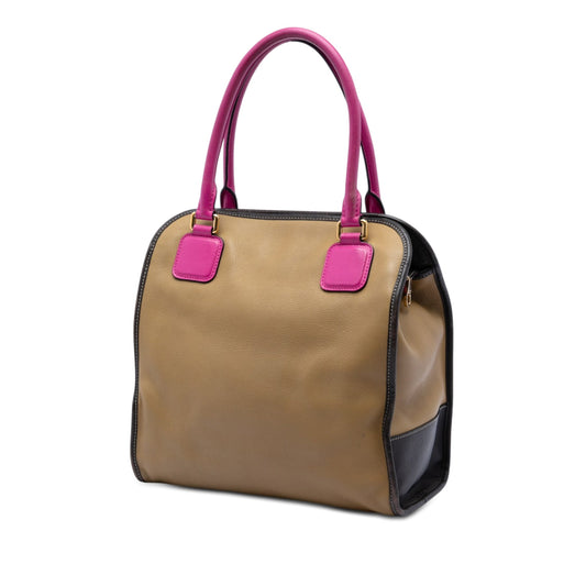 Loewe Tricolor Leather Anagram Handbag