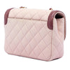 Chanel Mini Quilted Lambskin Two Tone Day Flap
