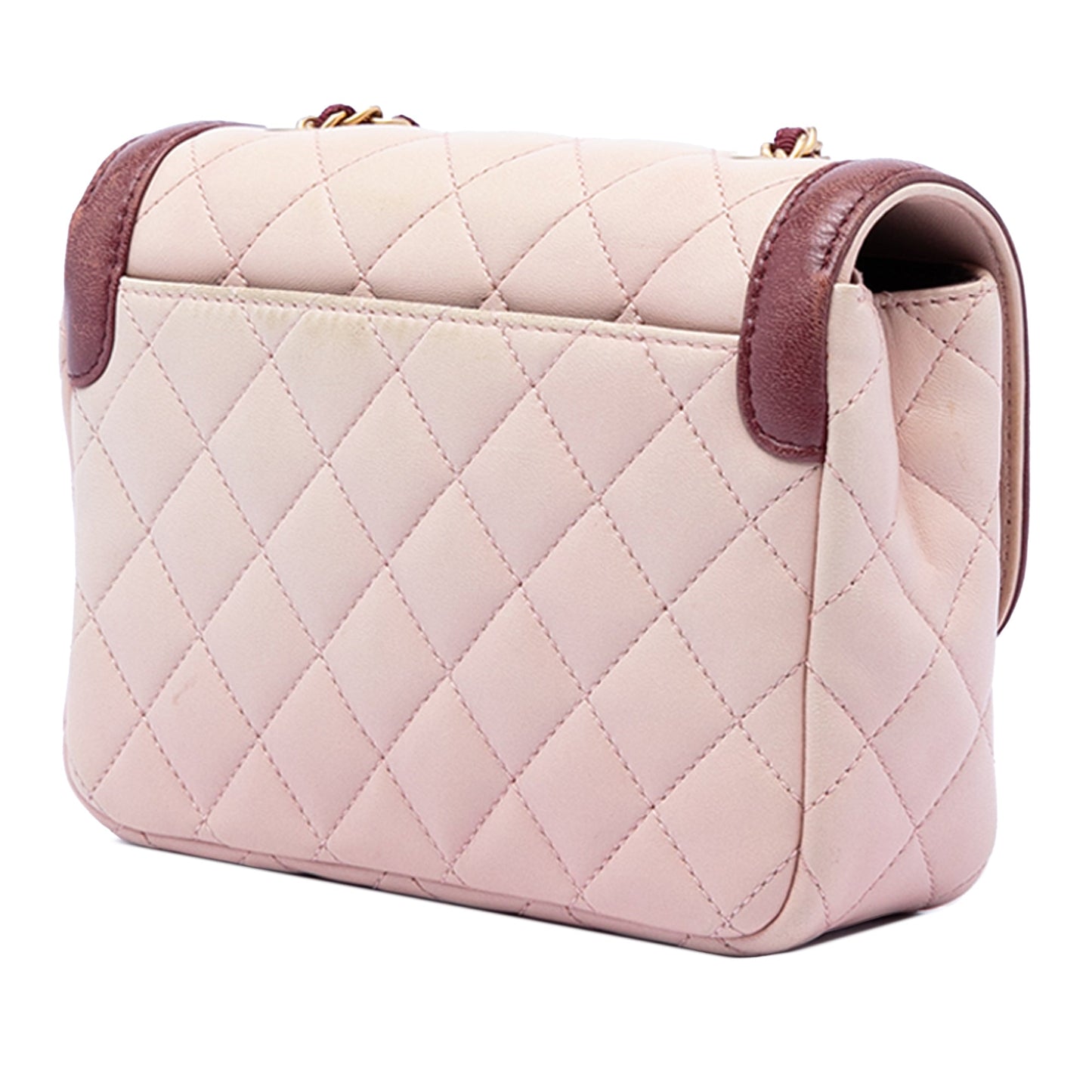 Chanel Mini Quilted Lambskin Two Tone Day Flap