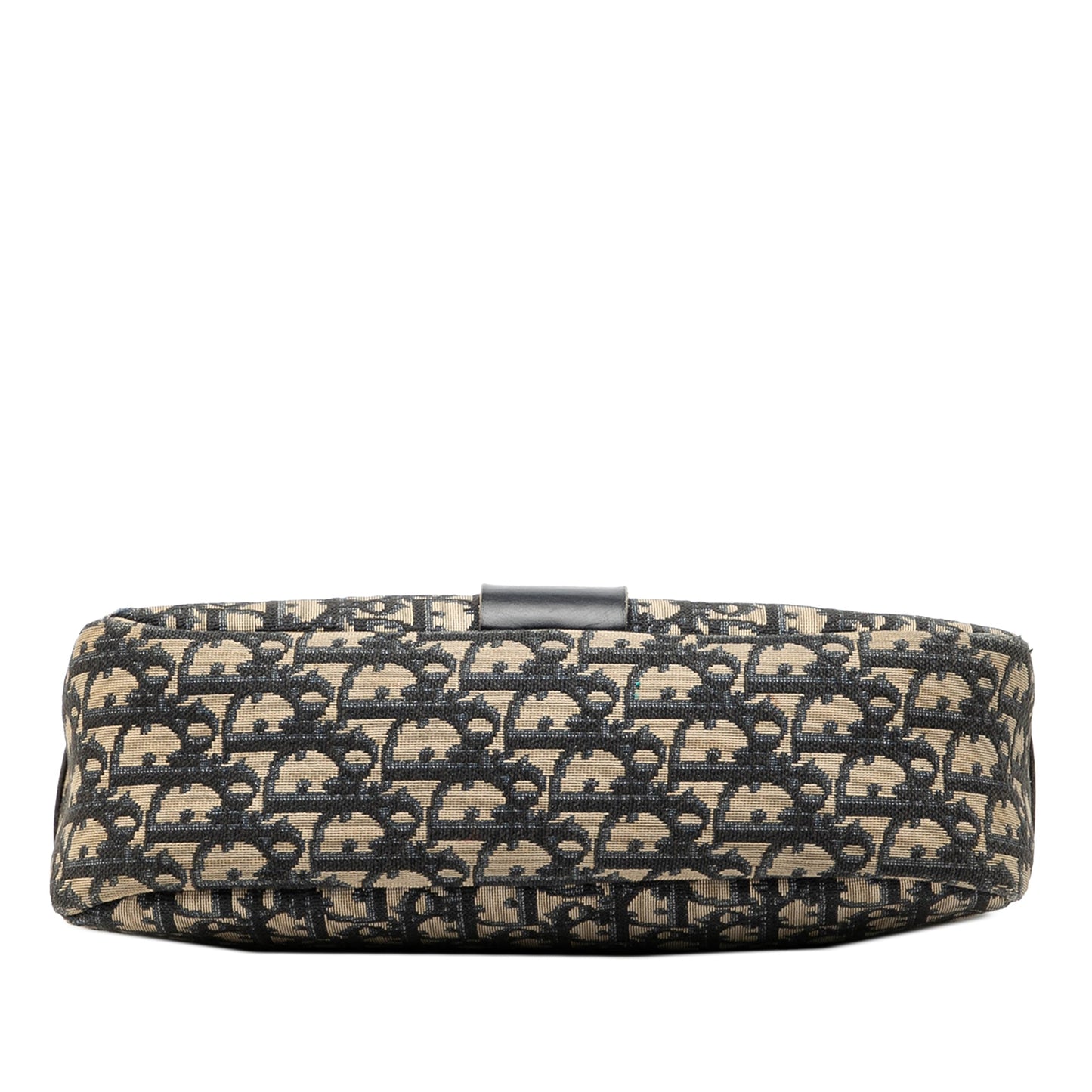 Dior Oblique Trotter Canvas Shoulder Bag