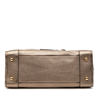 Loewe Metallic Goatskin Amazona 36