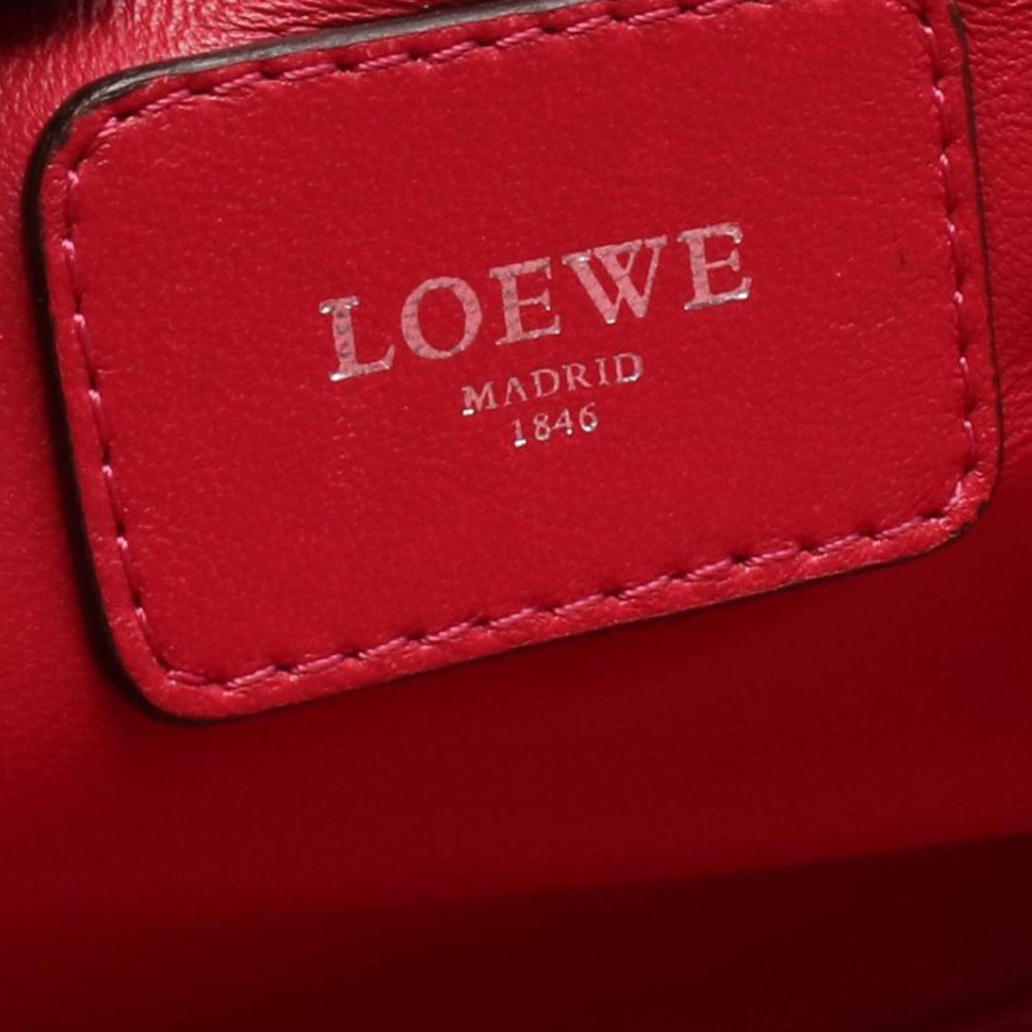 Loewe Leather Amazona 28
