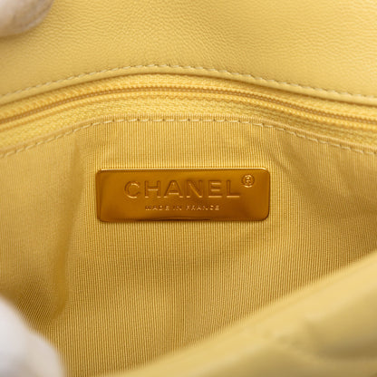 Chanel Medium Lambskin 19 Flap