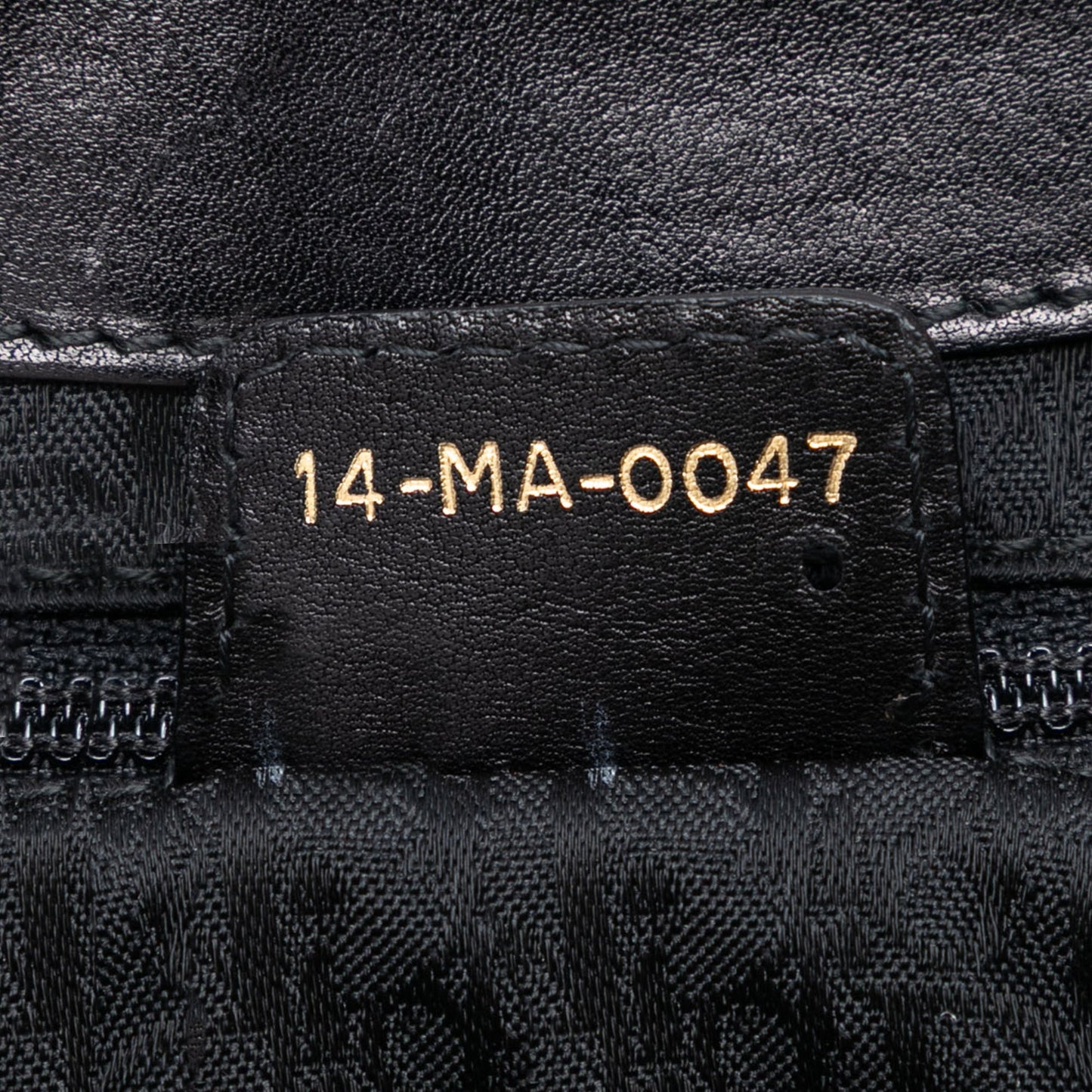 Dior Leather Jeanne Hobo