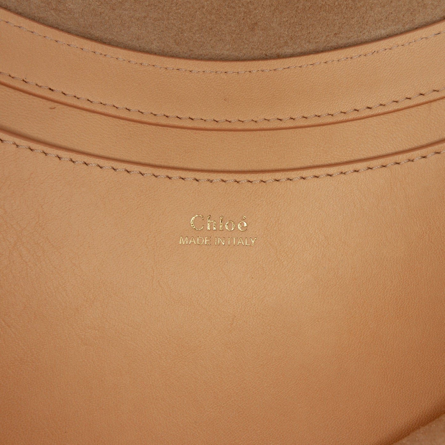 Chloe Leather Kiss Hobo