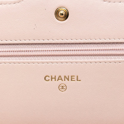 Chanel Mini Quilted Lambskin Two Tone Day Flap