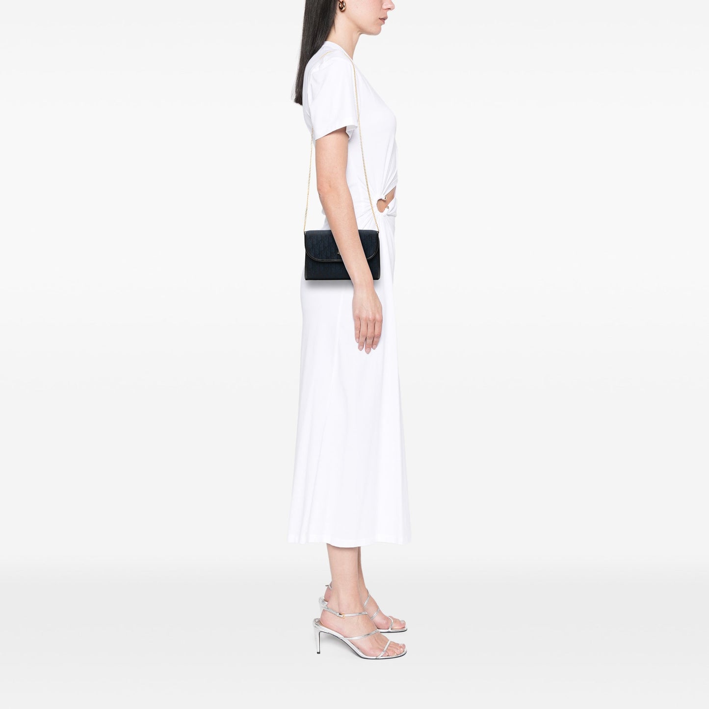 Dior Diorissimo Trotter Canvas Chain Crossbody