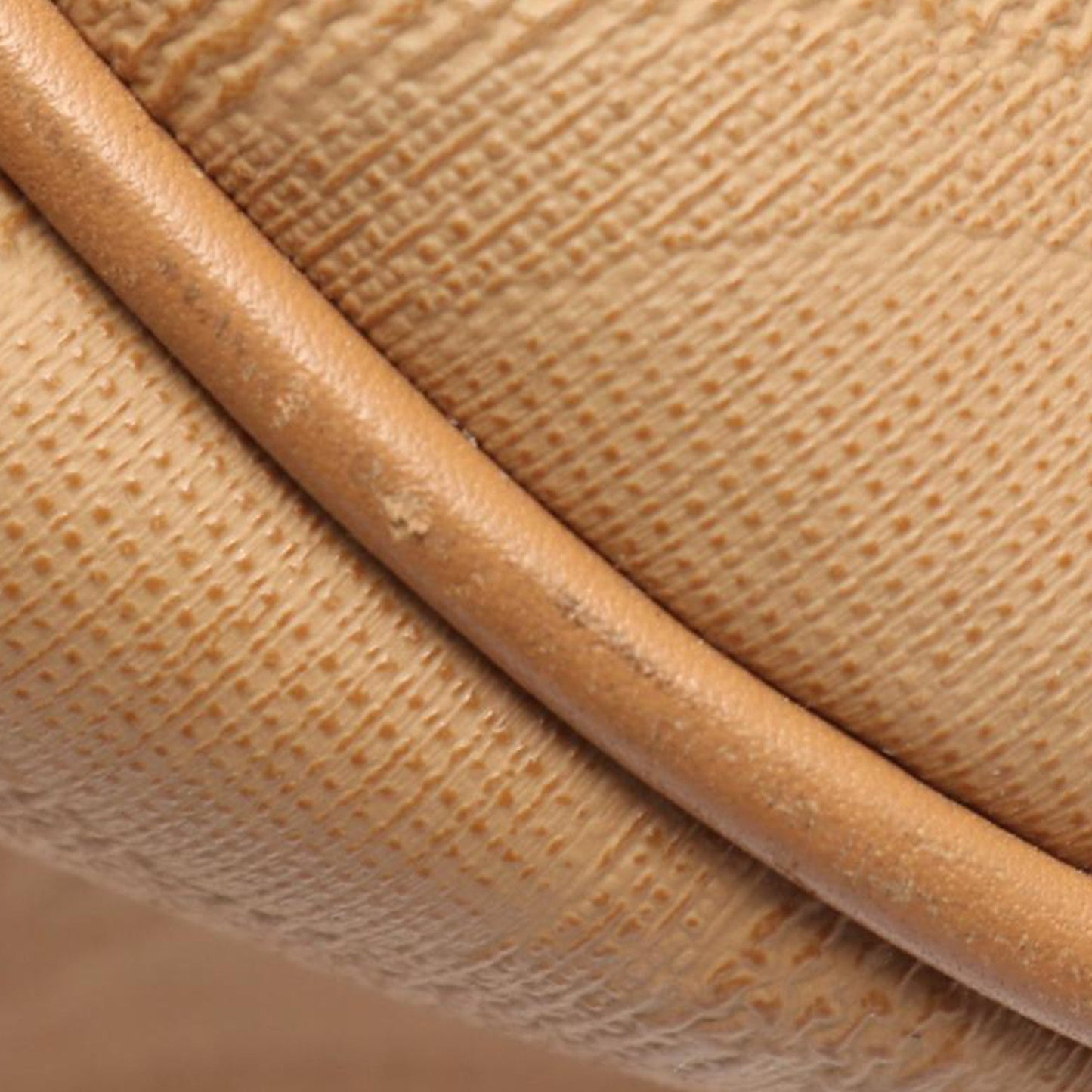 Dior Oblique Trotter Coated Canvas Crossbody