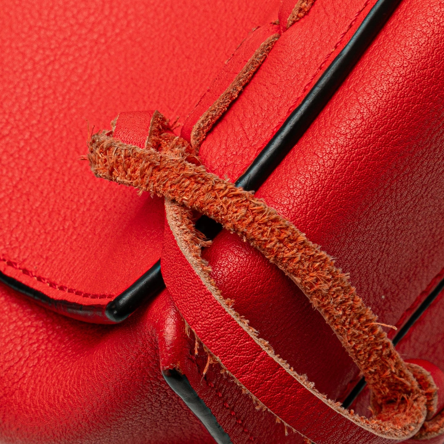 Loewe Leather Flamenco Knot Whipstitch Crossbody